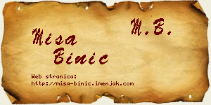 Miša Binić vizit kartica